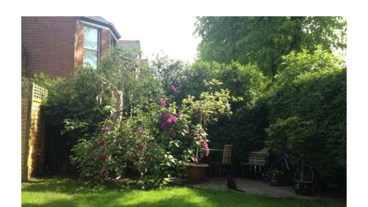 Guest house Brackenberry Hotel Belfast